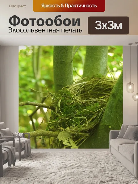 Фотообои Птичье гнездо