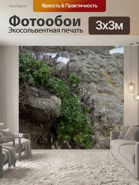 Фотообои Приморская растительность