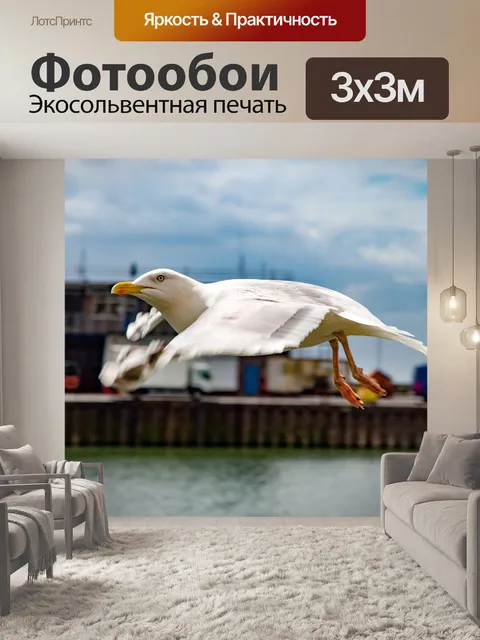 Фотообои Чайки в море