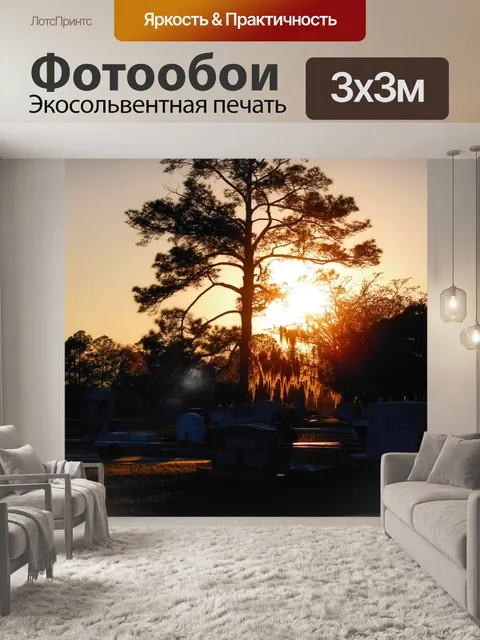 Фотообои Кладбище Силуэт
