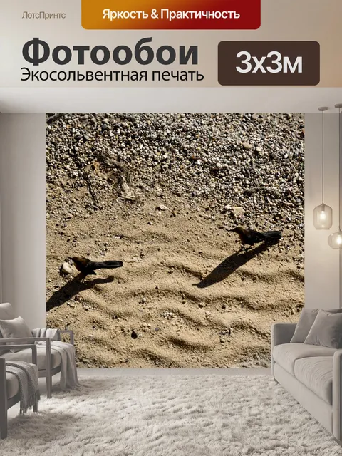 Фотообои Две птицы Пляж ходьба
