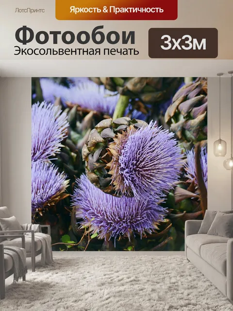 Фотообои Артишоки