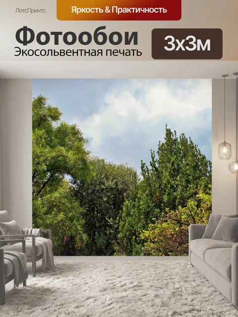 Фотообои Верхушки деревьев