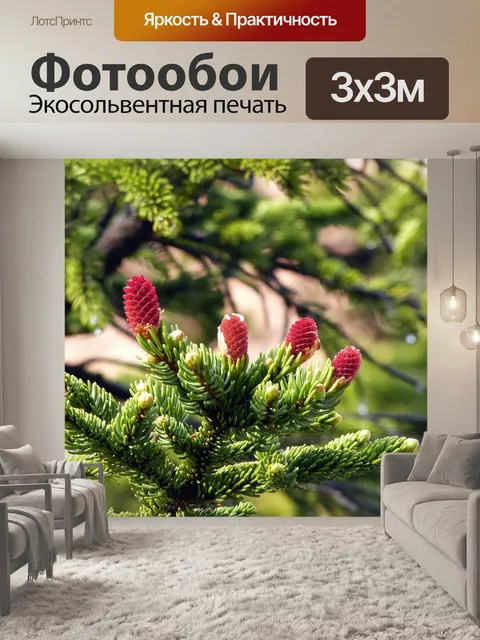 Фотообои Ветви