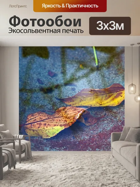 Фотообои два осенних листа под водой