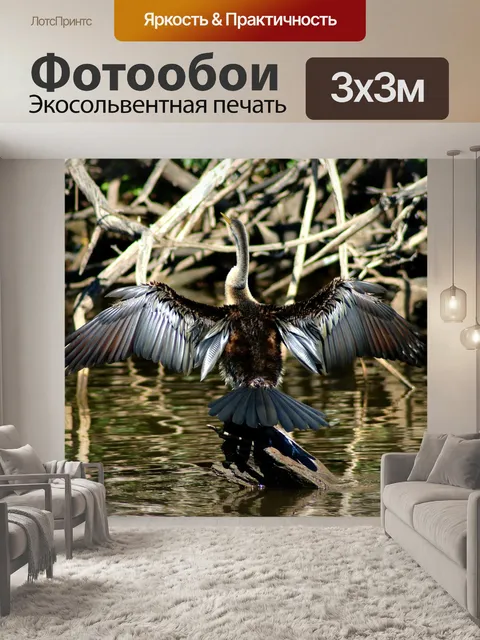 Фотообои Птица