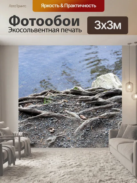 Фотообои корни деревьев