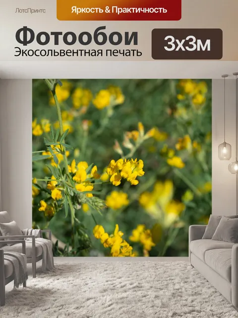 Фотообои Желтые цветы, полевые цветы, бутоны