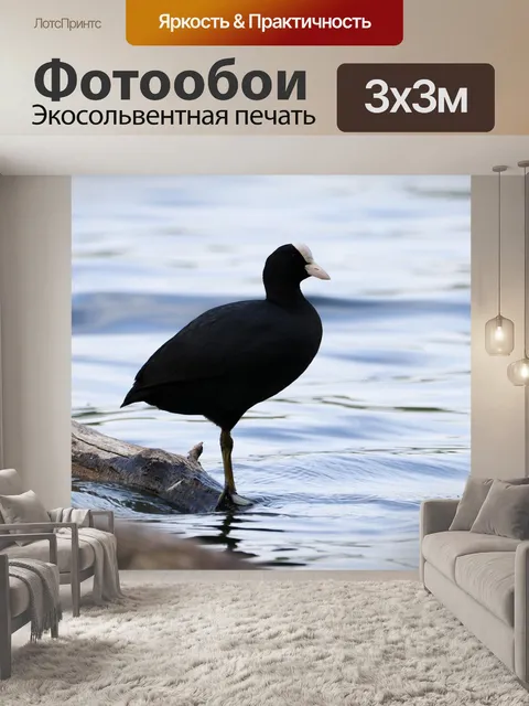 Фотообои Природа