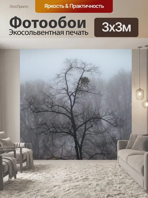 Фотообои Мороз