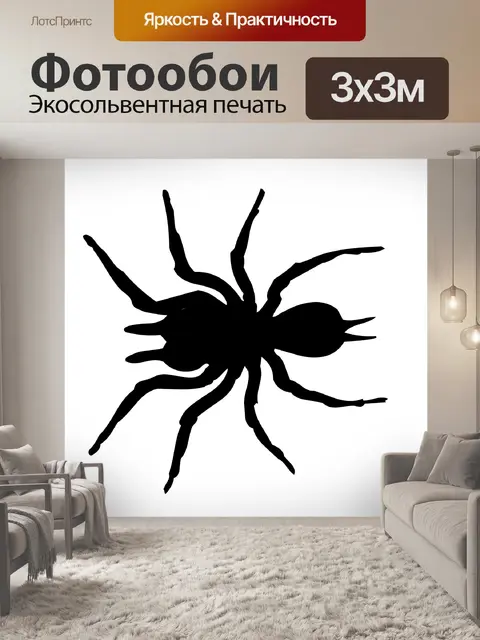 Фотообои рисунок паука на белом