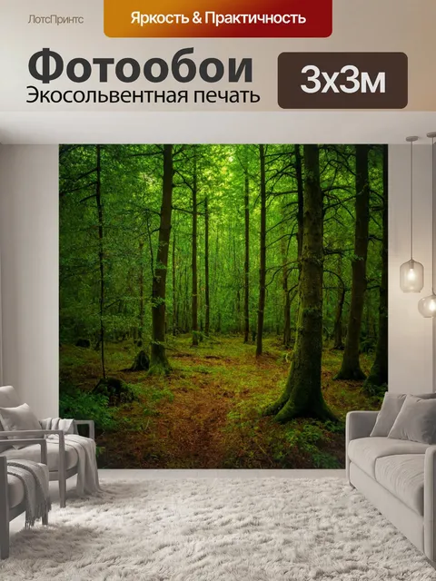 Фотообои сказочное покрытие, леса полного покоя, звук ветра, смелая природа, таинственные краски