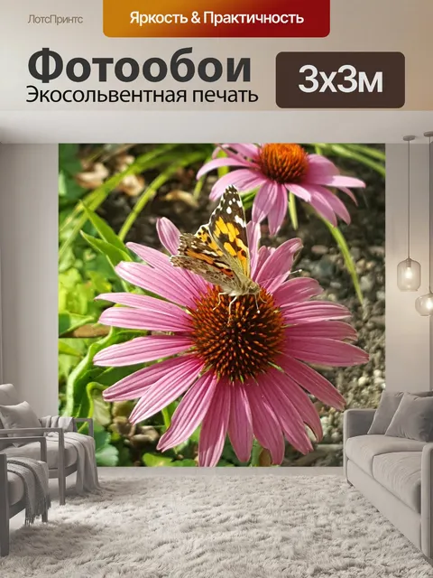 Фотообои Бабочка