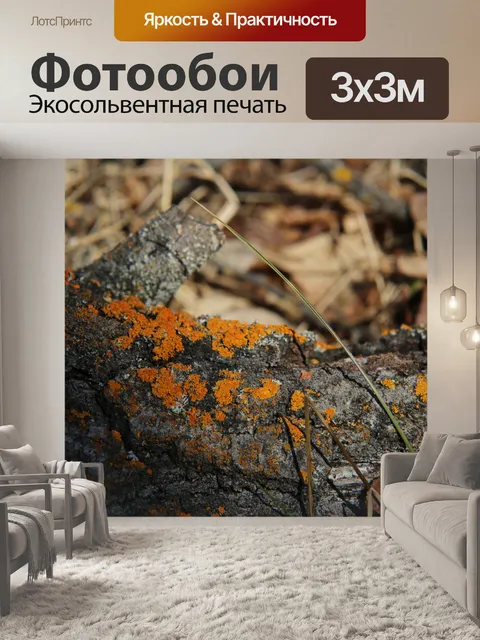 Фотообои Желтый моховый лишайник на дереве