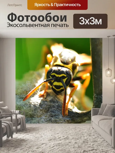 Фотообои оса это бухта