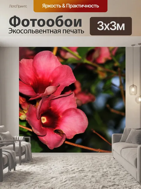 Фотообои цветы 2
