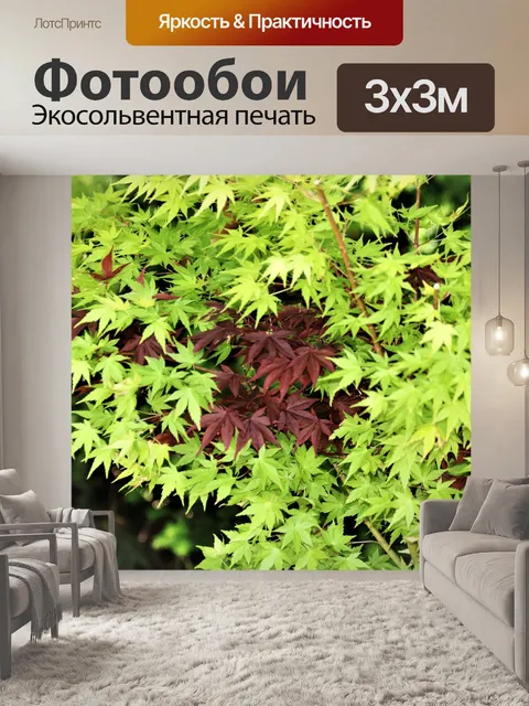 Фотообои Зеленые и фиолетовые кленовые листья