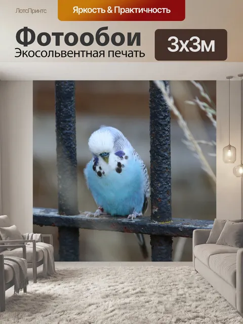 Фотообои Птица