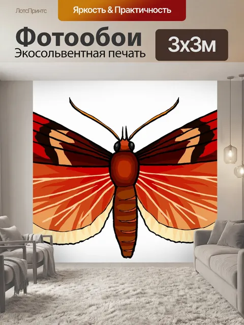 Фотообои Красочное коричневая бабочка 6