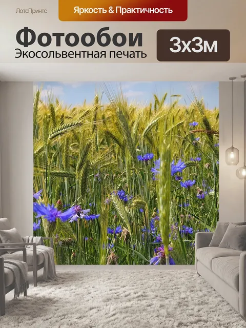 Фотообои Васильки