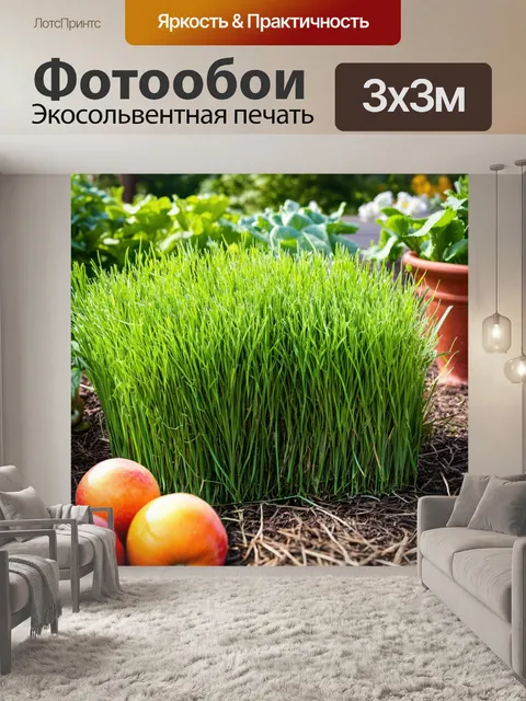 Фотообои трава на огороде, окруженная овощами и фруктами, создающая атмосферу уюта и домашнего тепла