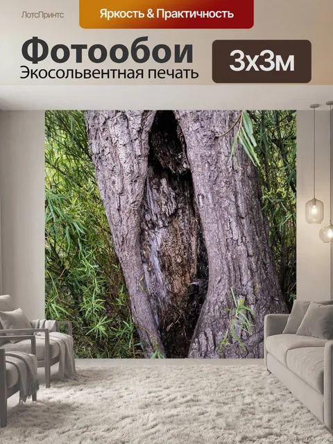 Фотообои Ствол