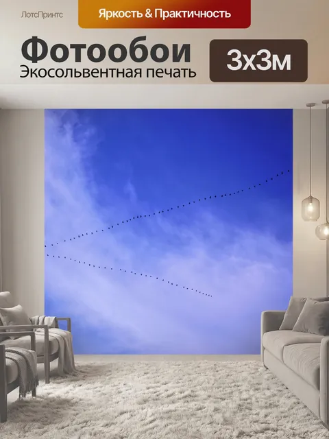Фотообои Птицы в голубое небо
