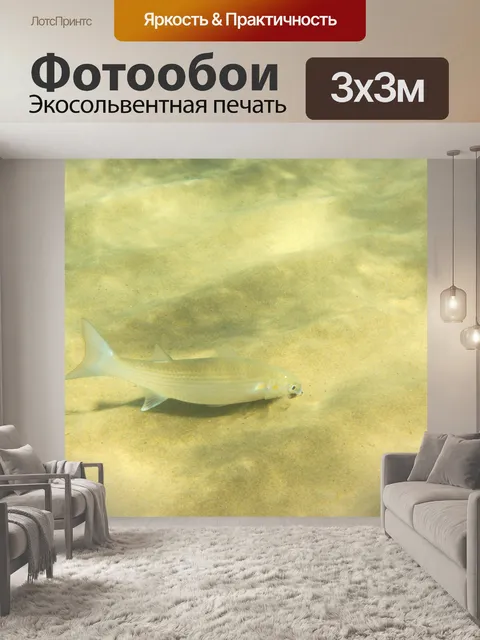Фотообои рыба под водой
