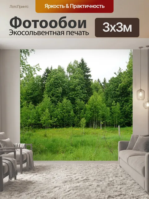 Фотообои Лес