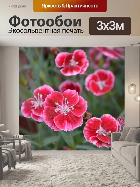 Фотообои Голландские цветы в садах 59