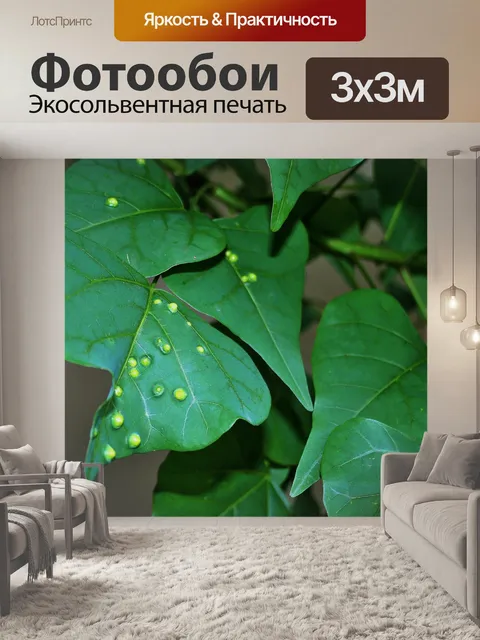Фотообои желчные пятна на коралловом дереве