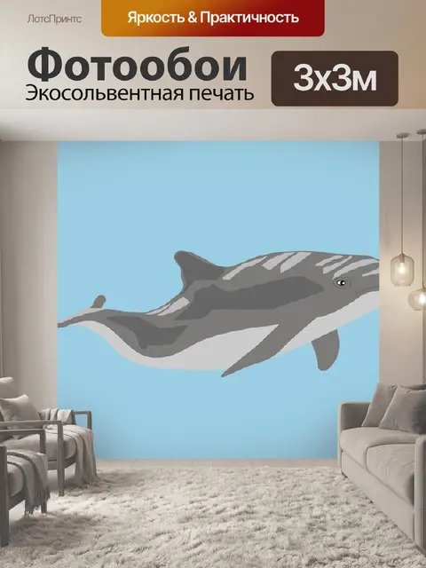 Фотообои Морская свинья
