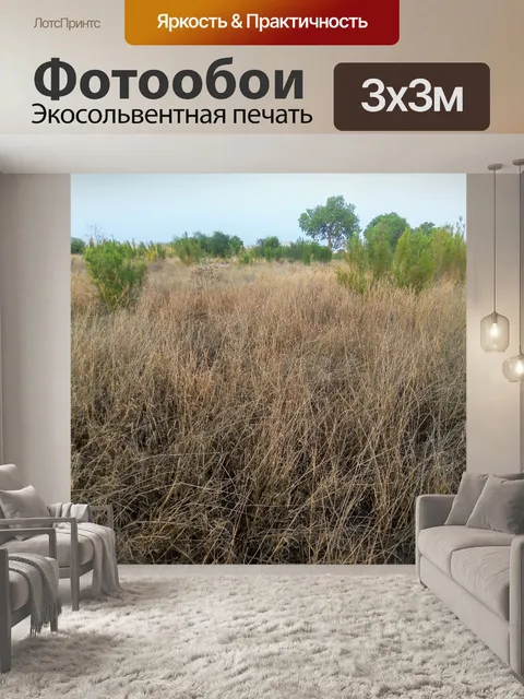 Фотообои Сухие луга