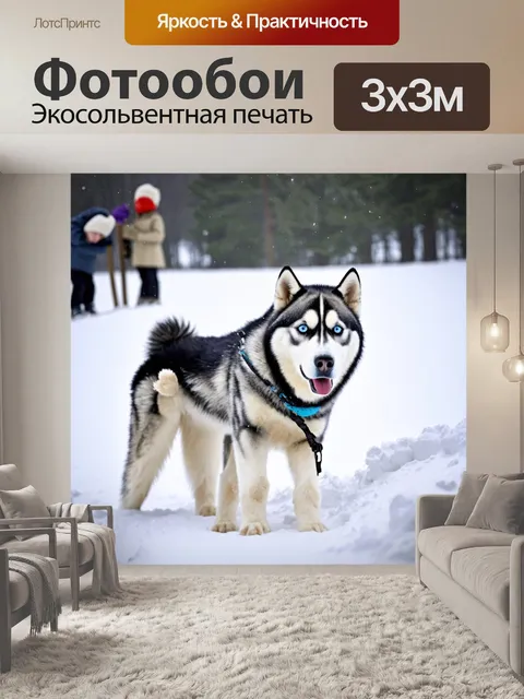 Фотообои хаски, играющий в снегу с детьми