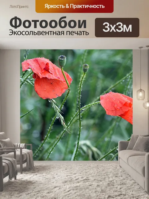 Фотообои Мак