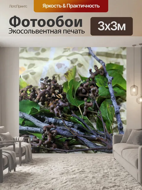 Фотообои гроздья спелого японского изюма