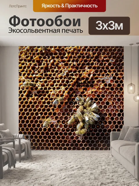 Фотообои Соты