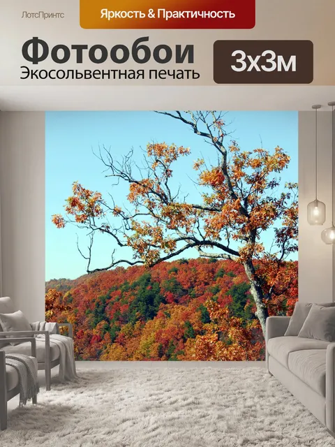 Фотообои Цвета осени