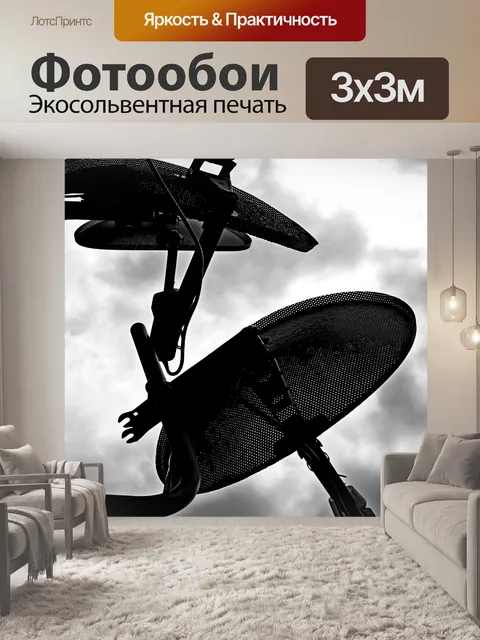 Фотообои Там кто-нибудь есть