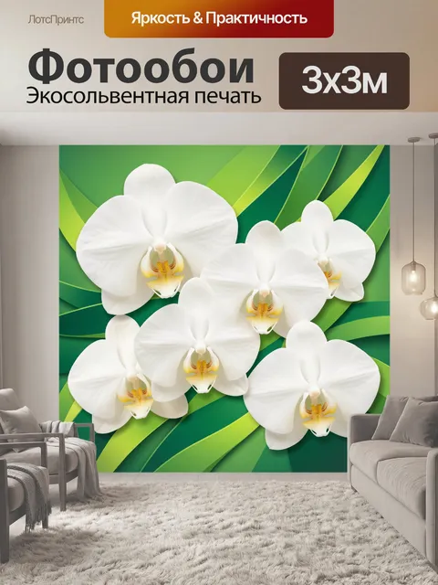 Фотообои Белые орхидеи на зеленом фоне