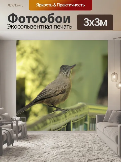 Фотообои Просто