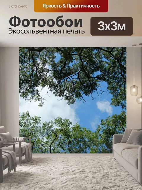 Фотообои Зеленые листья и голубое небо