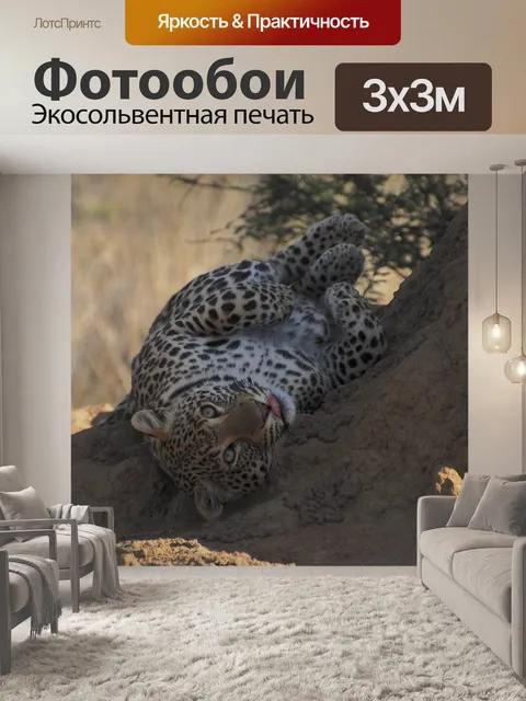 Фотообои Африканские кошки