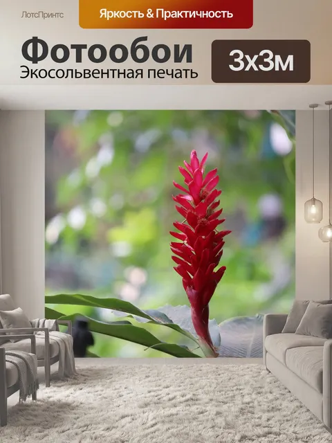 Фотообои Природа