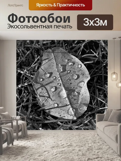 Фотообои Лист