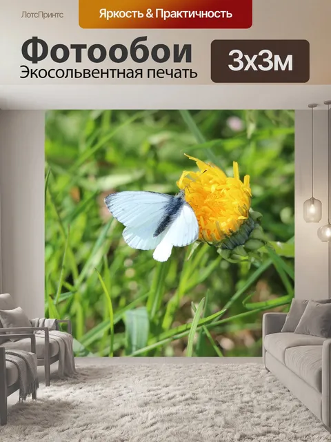 Фотообои Маленькая капуста белая бабочка