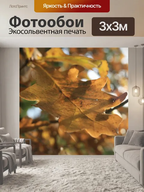 Фотообои Пешие прогулки