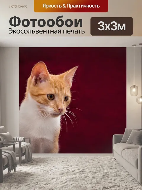 Фотообои Кот