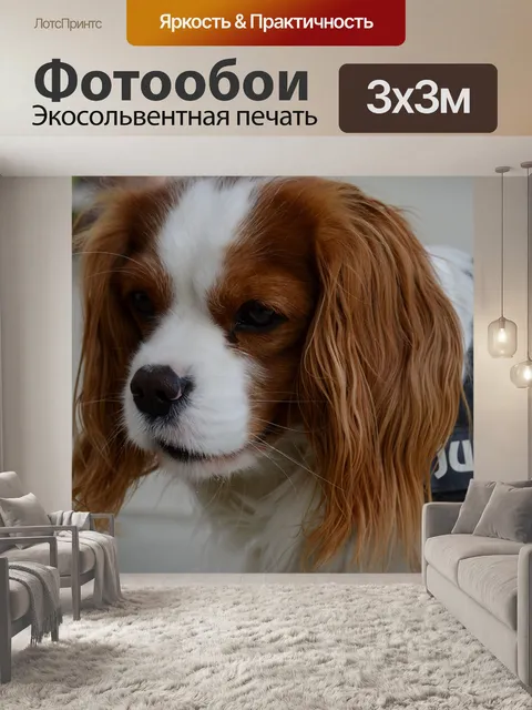 Фотообои Собака
