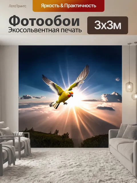 Фотообои корелла, порхающая в воздухе среди облаков и солнечных лучей, создает атмосферу легкости и свободы
